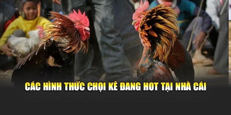 cac-hinh-thuc-choi-ke-dang-hot-tai-nha-cai