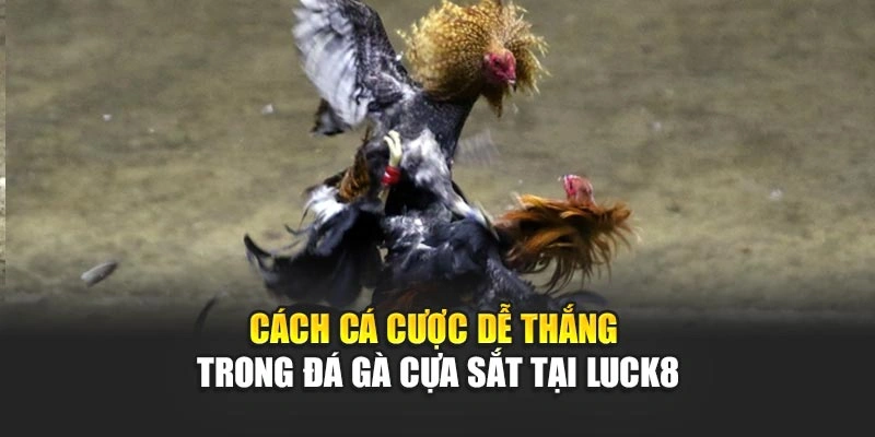 cach-ca-cuoc-de-thang-trong-da-ga-cua-sat-tai-luck8