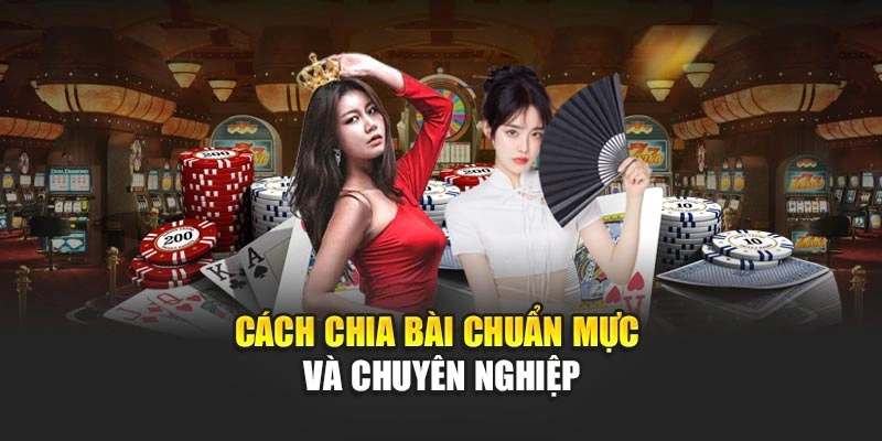 cach-chia-bai-chuan-muc-va-chuyen-nghiep