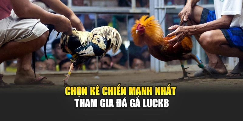 chon-ke-chien-manh-nhat-tham-gia-da-ga-luck8