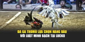 da-ga-thomo-lua-chon-hang-dau-voi-luat-minh-bach-tai-luck8