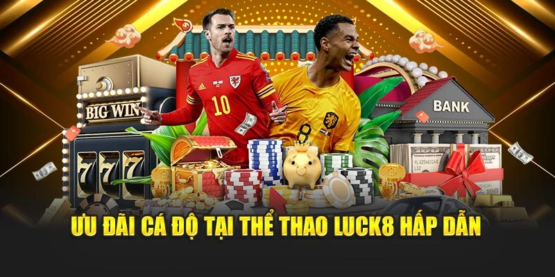 uu-dai-ca-do-tai-the-thao-luck8-hap-dan
